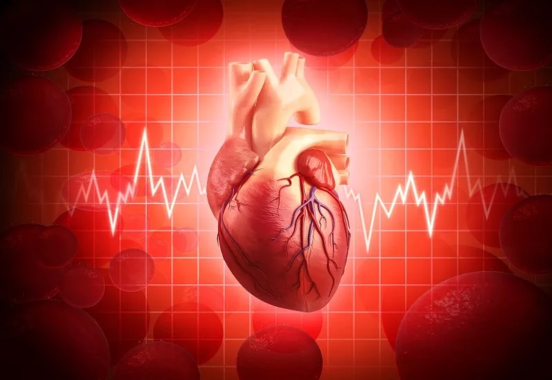 为什么男性比女性更早出现心血管疾病