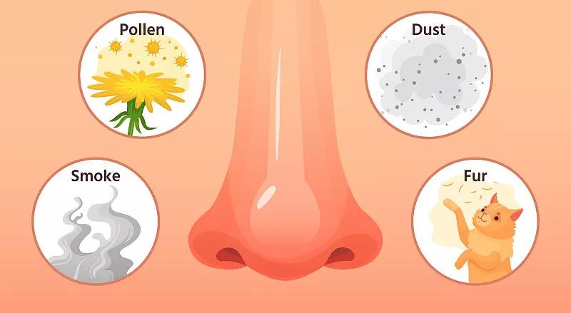秋季到，过敏性鼻炎怎么预防和调养的？