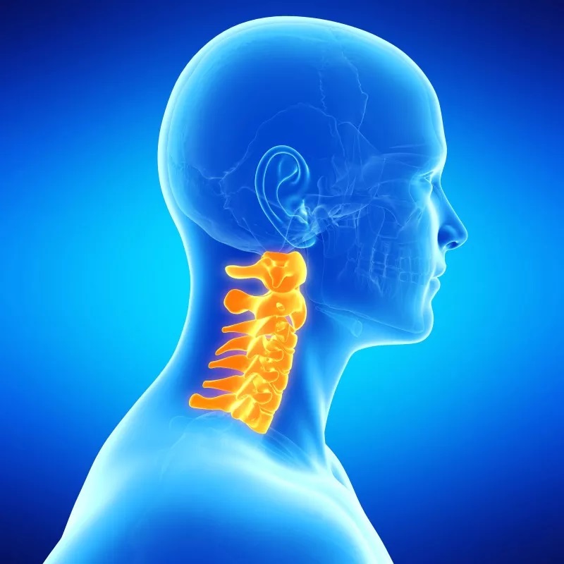 颈椎病是因颈椎间盘退行性变及其继发性改变刺激或压迫邻近组织,并